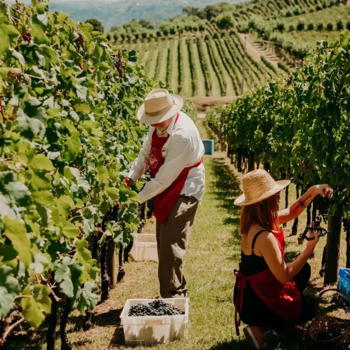 Vindima+no+Spa+do+Vinho+(1)-1920w